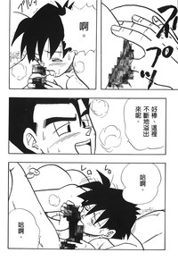 第29頁圖