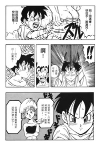 第97頁圖