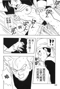 第121頁圖