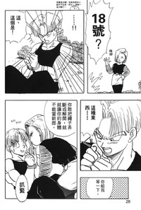 第29頁圖