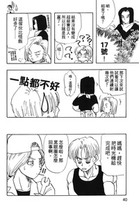 第41頁圖