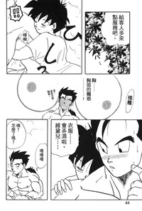 第45頁圖
