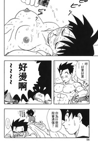 第57頁圖