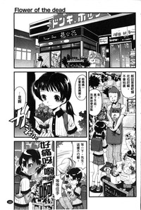 第185頁圖