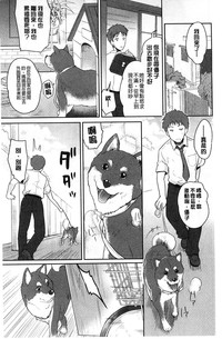 第33页图