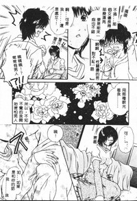 第113頁圖