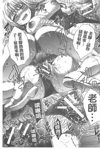 第233頁圖