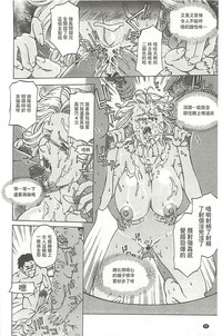 第81頁圖