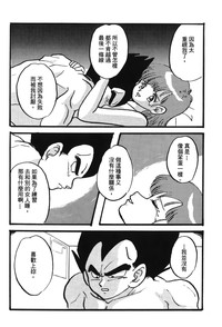 第117页图