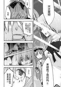 第33页图