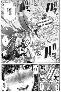 第61頁圖