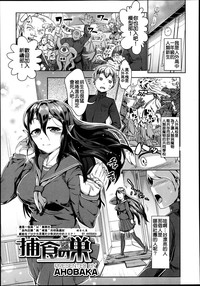 第349頁圖