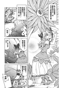 第41頁圖