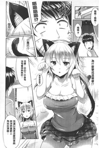 第81頁圖