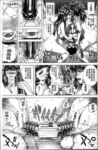 第233頁圖