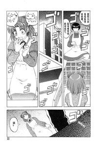 第33頁圖