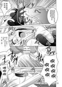 第21頁圖