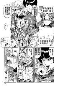 第113頁圖