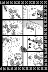 第29頁圖