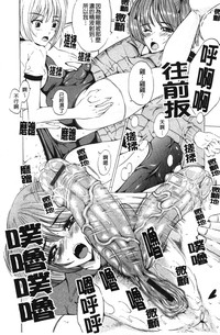 第137頁圖