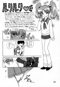 第29頁圖