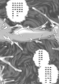 第17頁圖