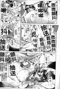 第113頁圖