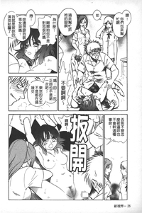 第29頁圖