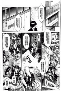 第33頁圖