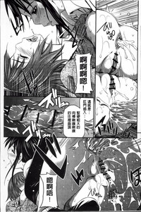 第113頁圖