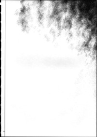 第97頁圖
