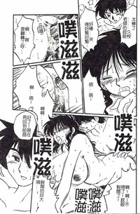 第33頁圖