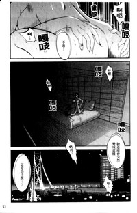 第93頁圖