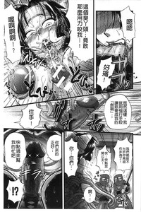 第205頁圖