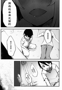 第33页图
