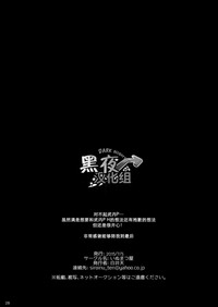 第29页图