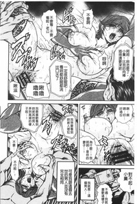 第81頁圖