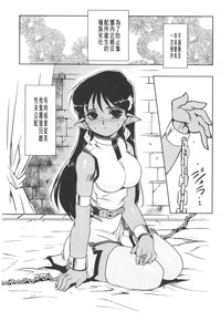 第117頁圖