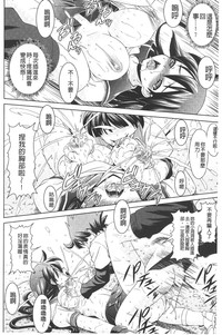第29頁圖