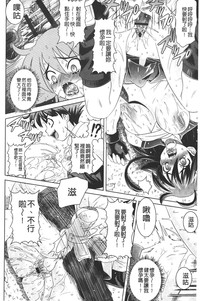 第33頁圖