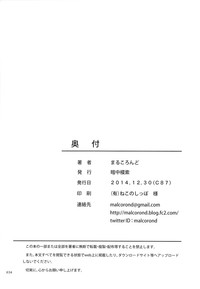 第33页图