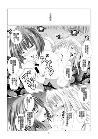 第17页图