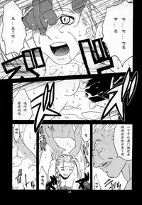 第33頁圖