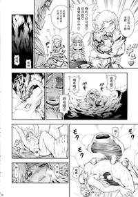 第33頁圖