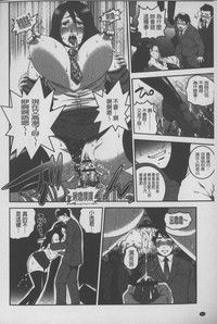 第85頁圖