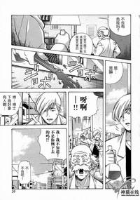 第29頁圖