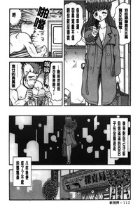 第113頁圖