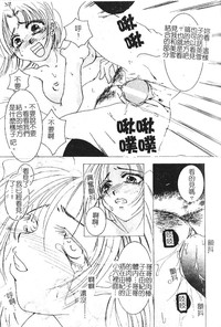 第17頁圖