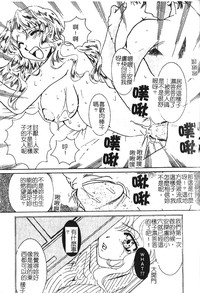 第81頁圖