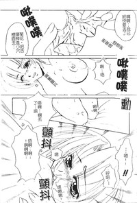 第97頁圖